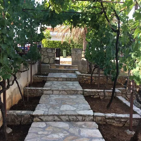 The Sunny Fig * Petrcane